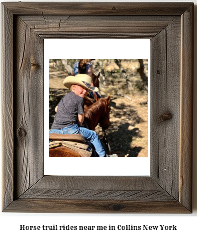 horse trail rides near me in Collins, New York